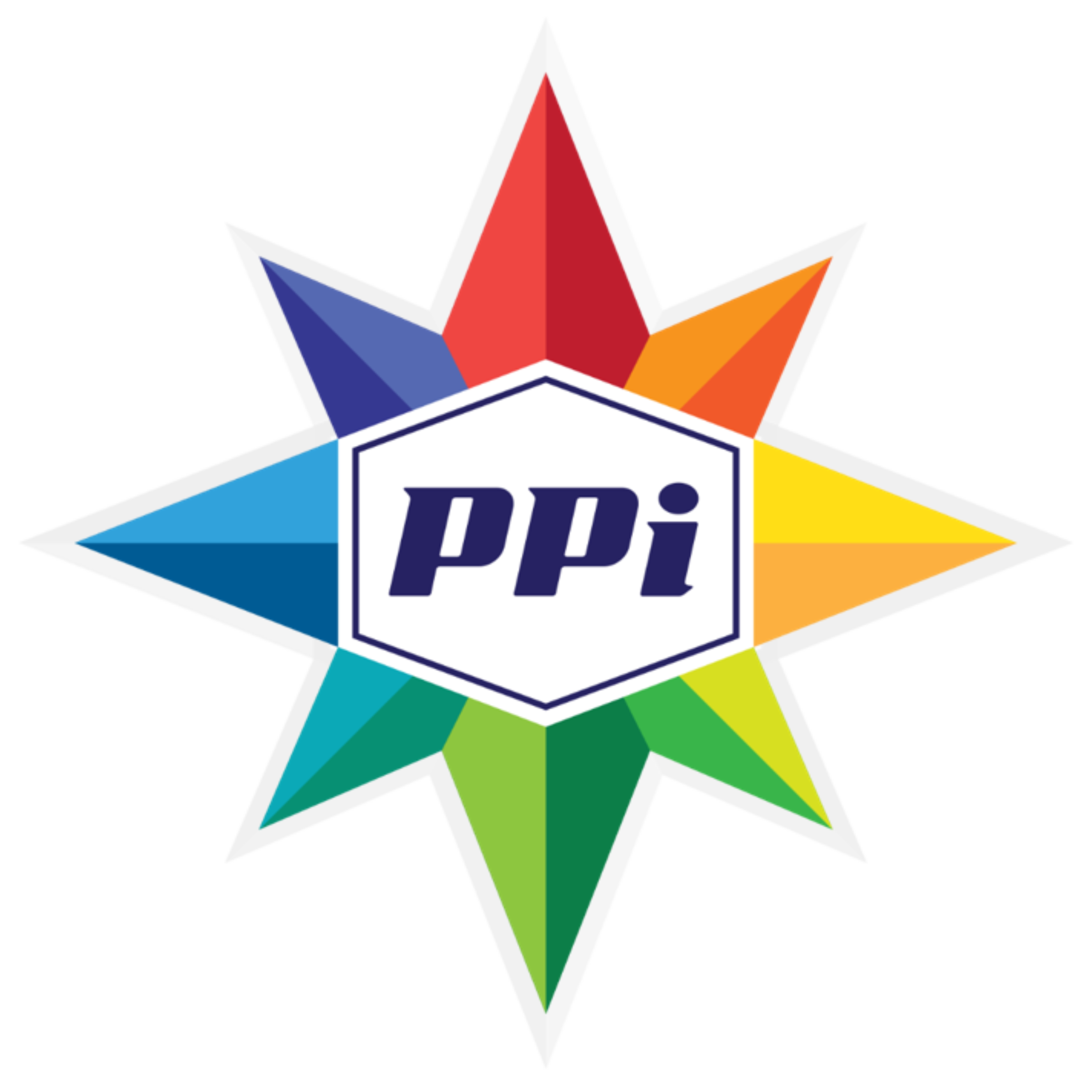 PPI logo