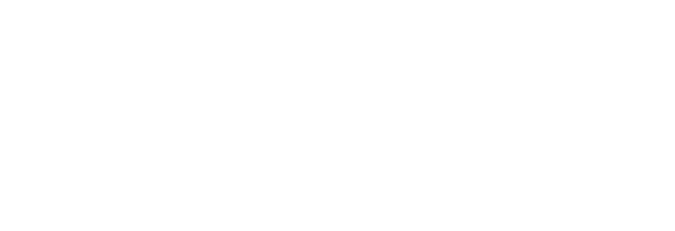 PrimeXM DMCC logo