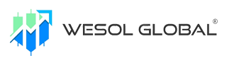 Wesol Global logo