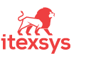 iTexSys logo