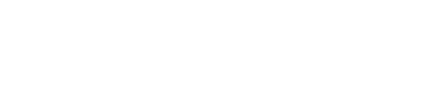 APX Capital logo